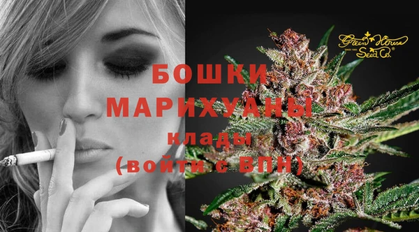 дживик Верхний Тагил
