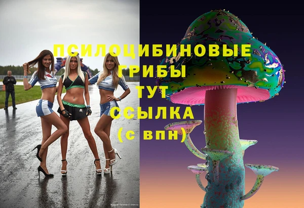 крисы Верея