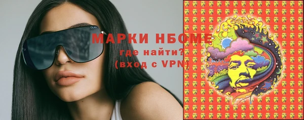 дживик Верхний Тагил