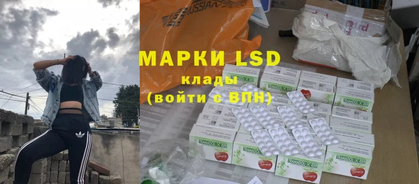 дживик Верхний Тагил