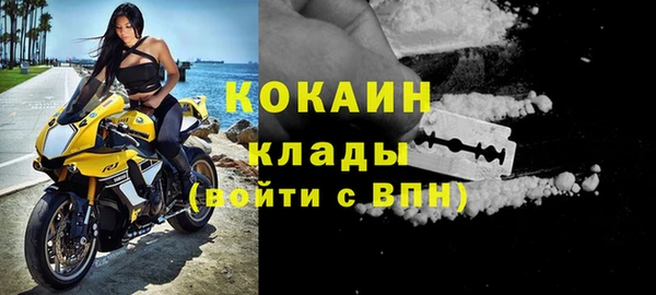 дживик Верхний Тагил