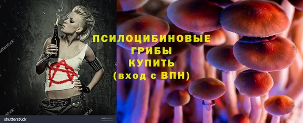 дживик Верхний Тагил